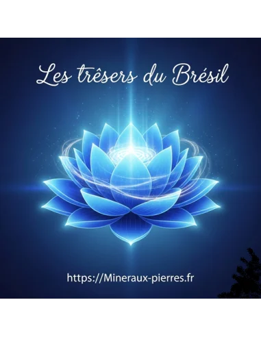 8 Elixirs sept chakras