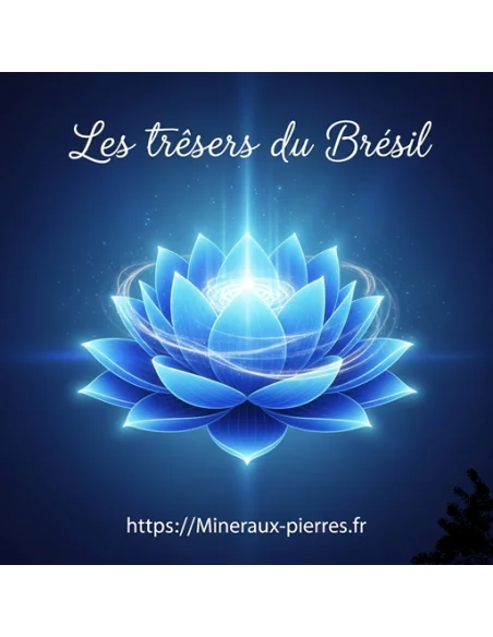 8 Elixirs sept chakras