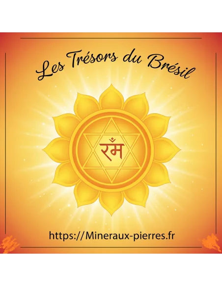 8 Elixirs sept chakras