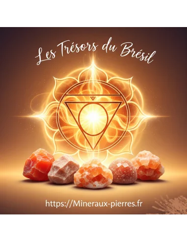 8 Elixirs sept chakras