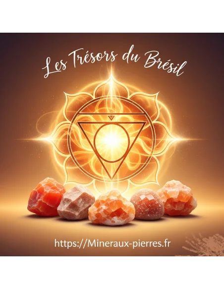 8 Elixirs sept chakras