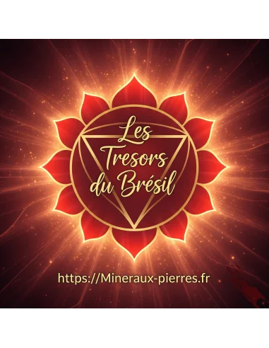 8 Elixirs sept chakras