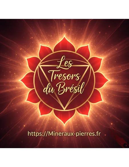 8 Elixirs sept chakras