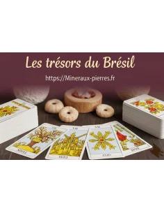 Cours du Tarot de Marseille