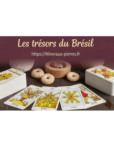 Cours du Tarot de Marseille
