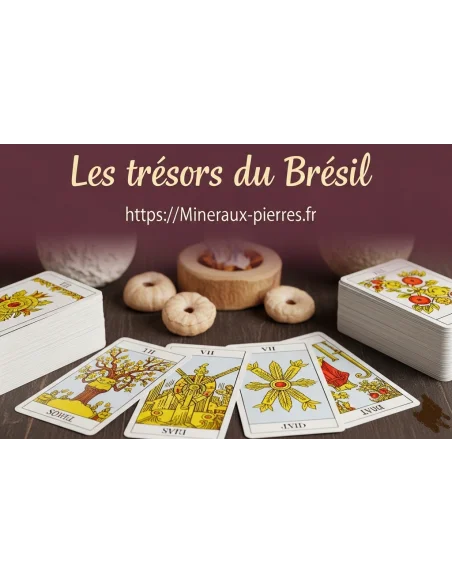 Cours du Tarot de Marseille