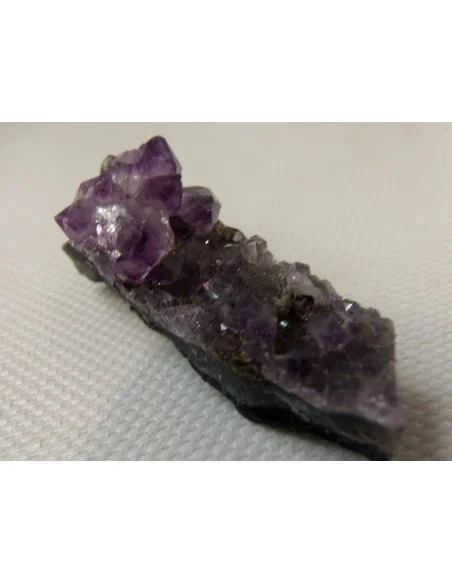 Brandenberg  Brandenberg