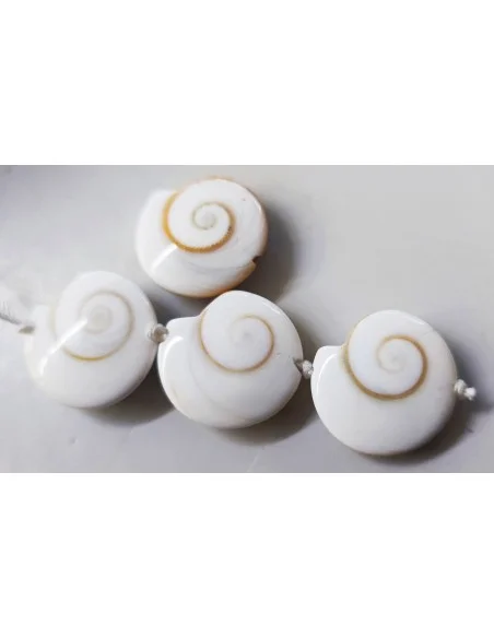 Œil de sainte Lucie rond plat percée 19mm