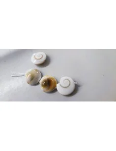 Œil de sainte Lucie rond plat percée 19mm 2