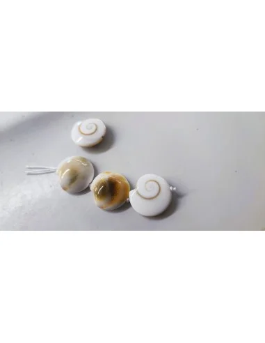 Œil de sainte Lucie rond plat percée 19mm