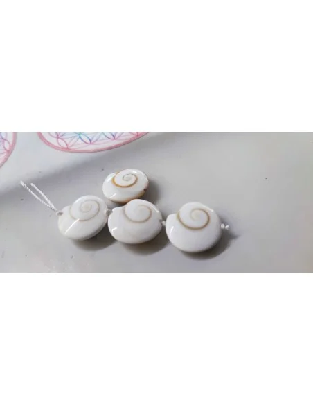 Œil de sainte Lucie rond plat percée 19mm