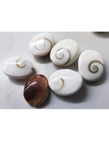 Œil de sainte Lucie ovale plat percée 14mm