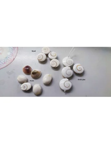 Œil de sainte Lucie ovale plat percée 14mm