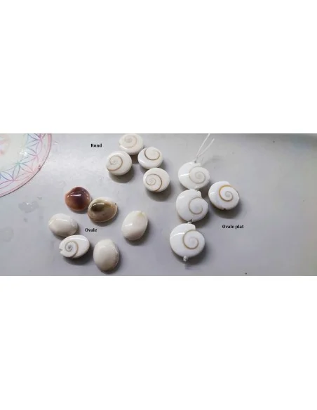 Œil de sainte Lucie ovale plat percée 14mm