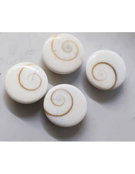 Œil de sainte Lucie rond percé 11mm