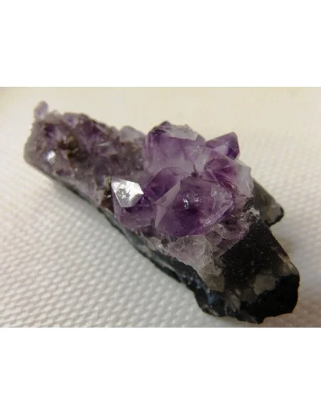 Brandenberg  Brandenberg