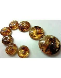 Donuts en ambre 22mm 2