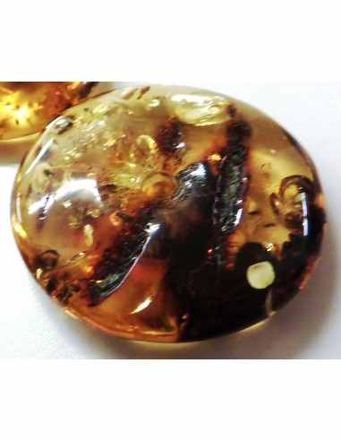 Donuts en ambre 22mm