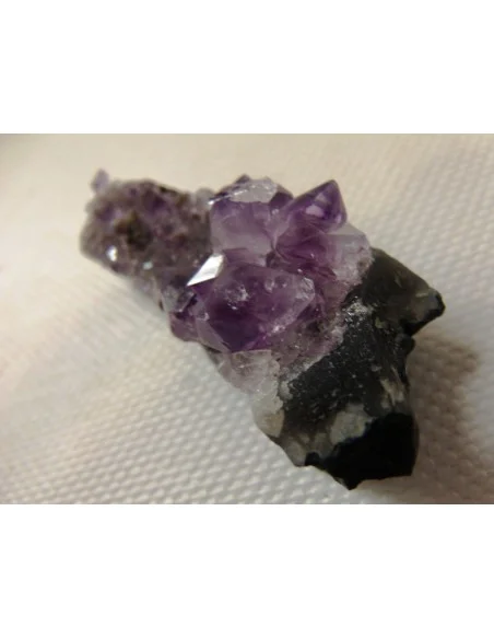 Brandenberg  Brandenberg