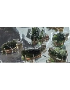 Grands pendentifs en moldavite montées en argent 2