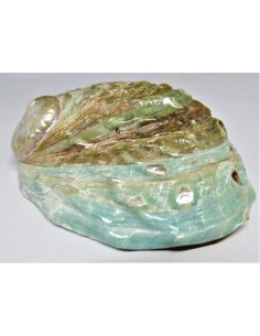 👁️ Kit de Soin Régénérant Yeux & Peau - Coquillages... 2