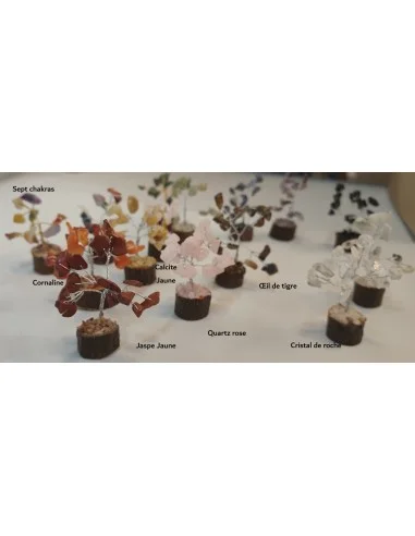 Mini Bonsai en pierres naturelles, base en bois