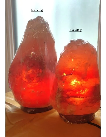 Sel de l'Himalaya Lampe