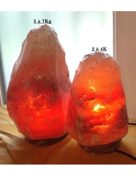 Sel de l'Himalaya Lampe