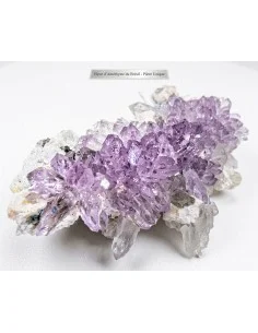 Geode Fleur d'améthyste