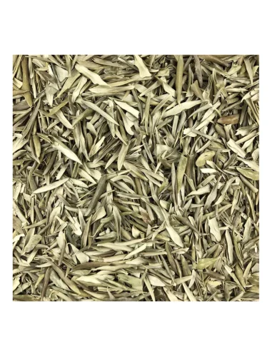 Feuilles d'olivier de la Provence à brûler