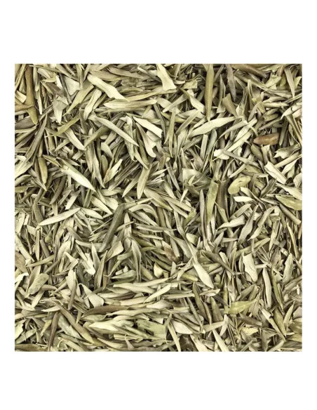 Feuilles d'olivier de la Provence à brûler