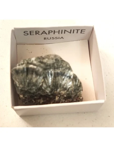 Seraphinite brute