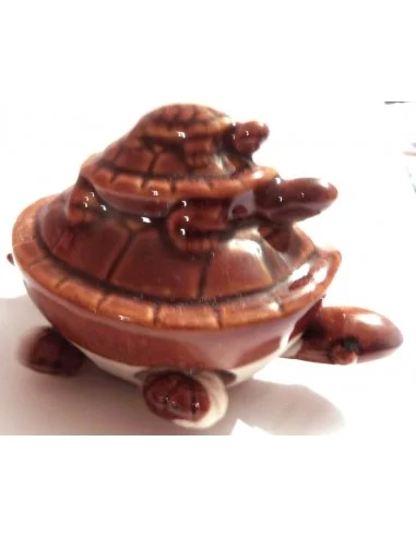 TORTUE FENG-SHUI MARON