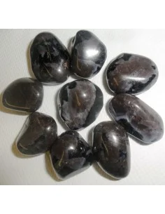 Gabbro 2