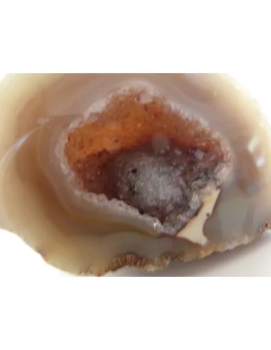 Géode quartz rose, cristal cactus