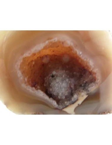 Géode quartz rose, cristal cactus