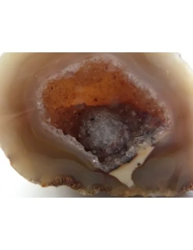 Géode quartz rose, cristal cactus