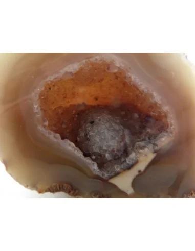 Géode quartz rose, cristal cactus