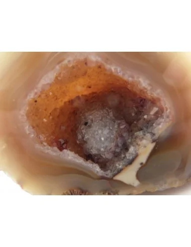 Géode quartz rose, cristal cactus