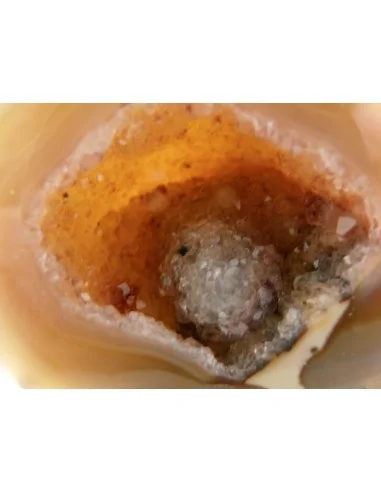 Géode quartz rose, cristal cactus