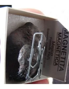 Magnetite Magnetique aimante 2