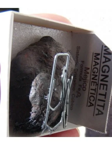 Magnetite Magnetique aimante