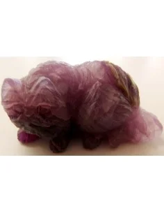 Chat en fluorine