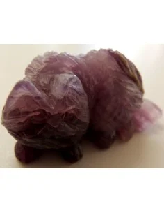 Chat en fluorine 2