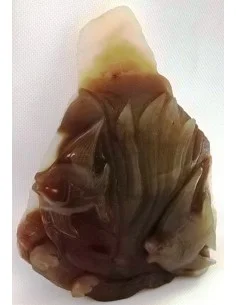 Poissons taillé en pierre