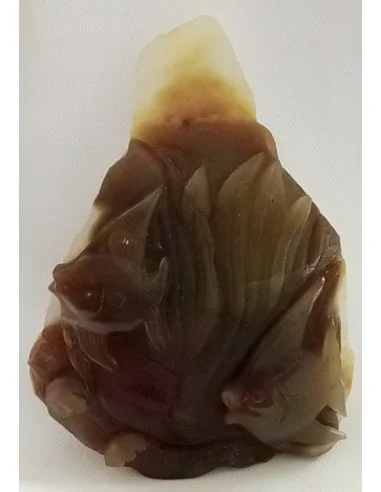 Poissons taillé en pierre