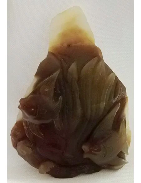 Poissons taillé en pierre