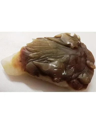 Poissons taillé en pierre