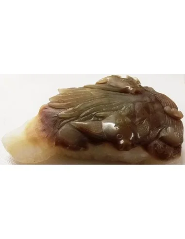 Poissons taillé en pierre