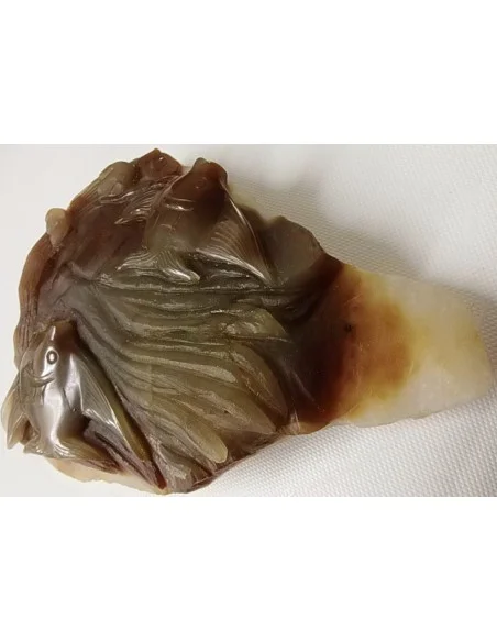 Poissons taillé en pierre